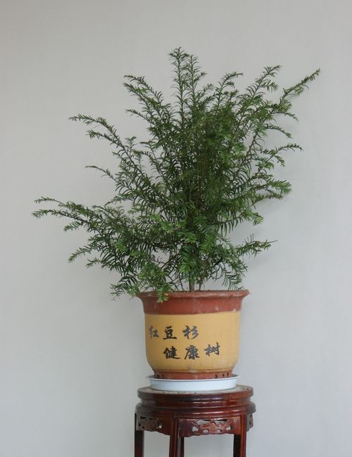 英亚官方网站|油气改革应协调好国企改革与行业改革关系(图4) 英亚官网首页