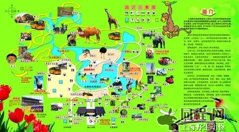 英亚官网|生活怎样痛苦，依旧要往前啊