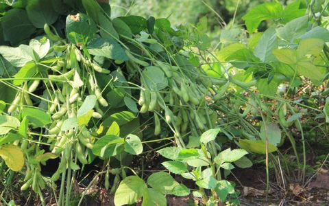 1-2月我国电解铝产量597万吨-英亚官网(图2) 英亚官网首页