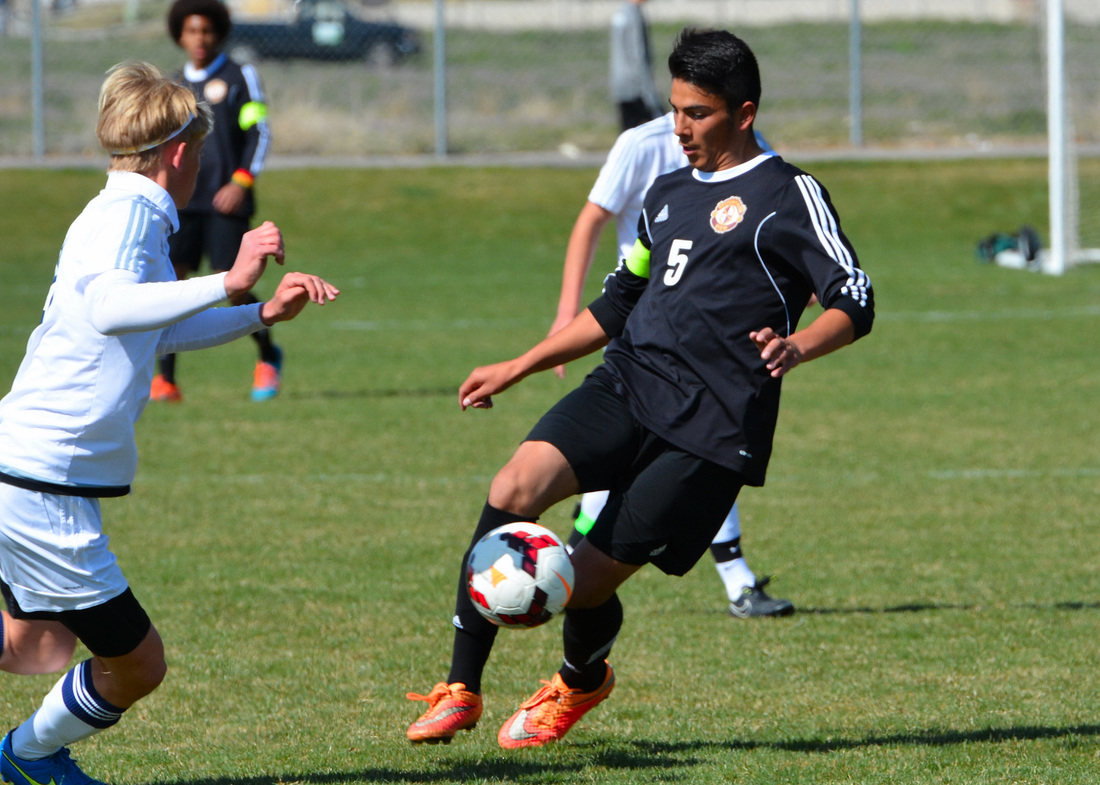 青口【英亚官网首页】(图1) 英亚官方网站