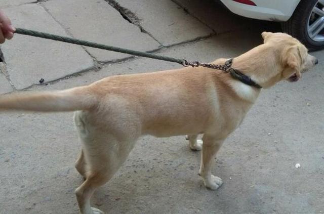 向吹火筒借力【英亚官方网站】(图1) 英亚官网首页