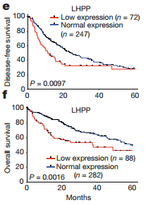 英亚官方网站：由偷菜想到的
