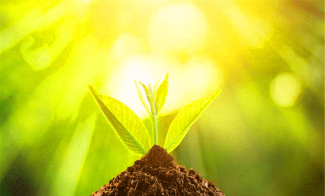 
俗语：“最怕端午节水、不怕七月半鬼”啥意思？端午将至不妨一看“英亚官网首页”(图3)